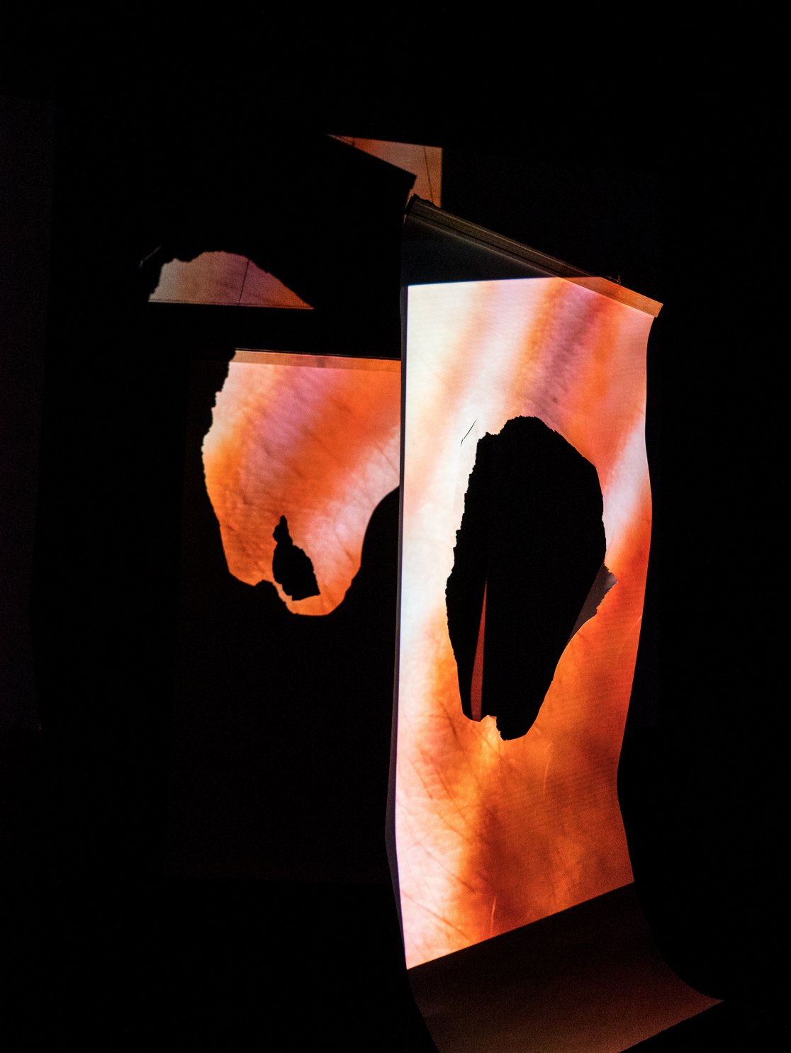 Anthropoid Frequency_MinahilBukhari_2018_1