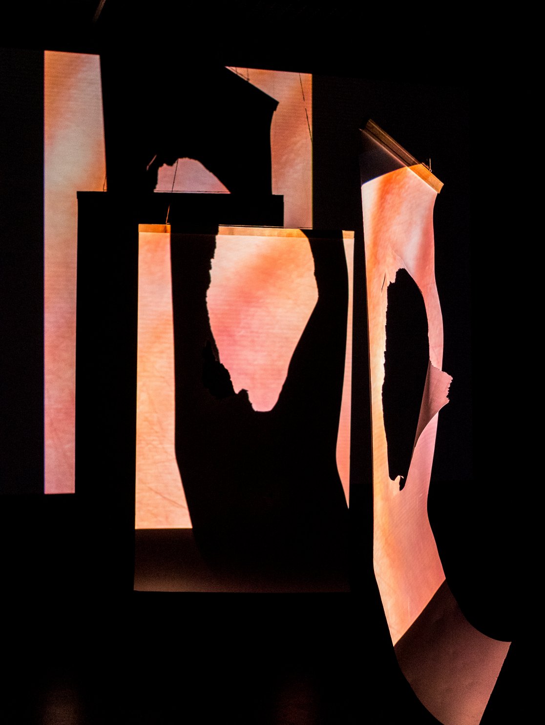 Anthropoid Frequency_MinahilBukhari_2018_2