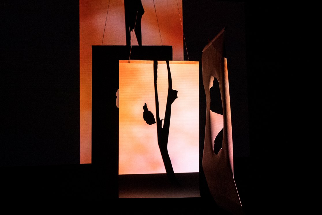 Anthropoid Frequency_MinahilBukhari_2018_3