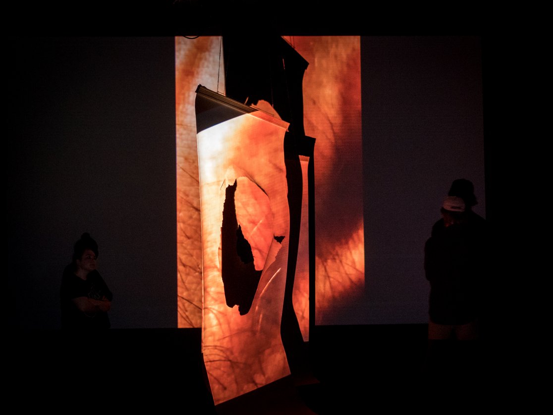 Anthropoid Frequency_MinahilBukhari_2018_5