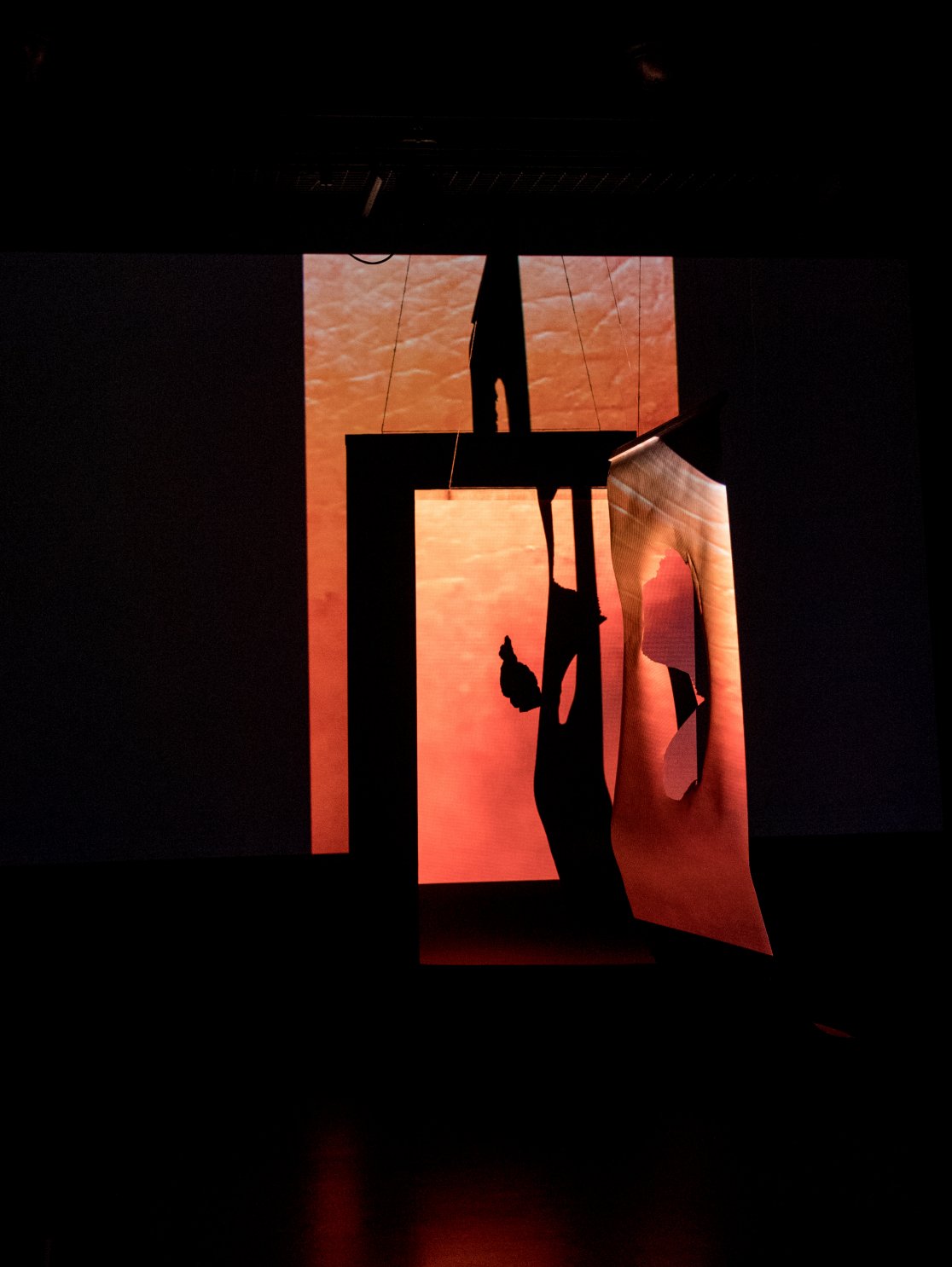 Anthropoid Frequency_MinahilBukhari_2018_6