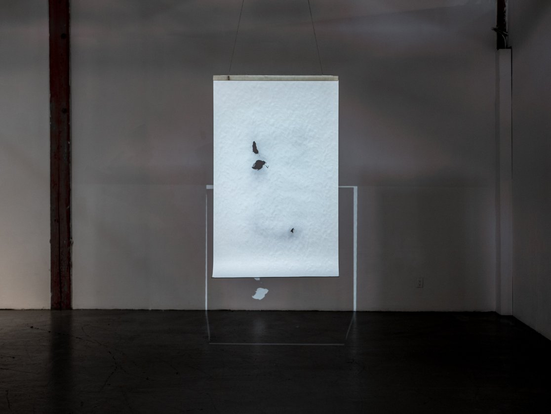 Loud Whispers 2017_Minahil Bukhari_6