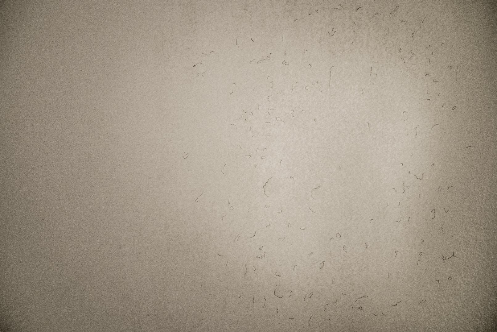 Silent Voices 2017_Minahil Bukhari_7