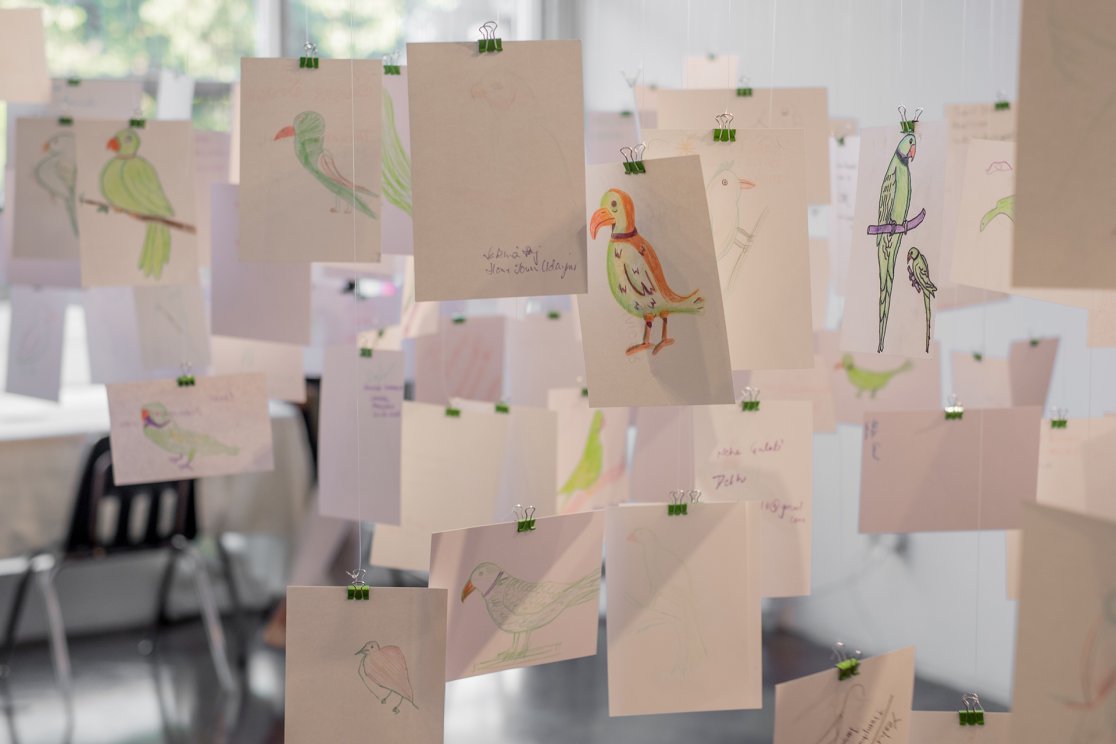 BirdsofaFeather_TotaProject_Parrot