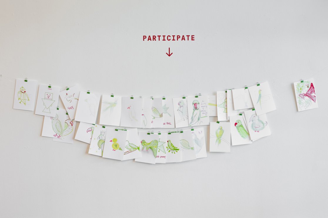 TotaProject_BirdsofaFeather_Participate